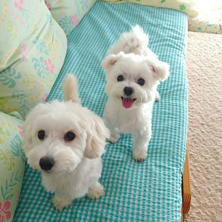 Aa35ceb7 72c6 4f88 96a1 ded69380084d