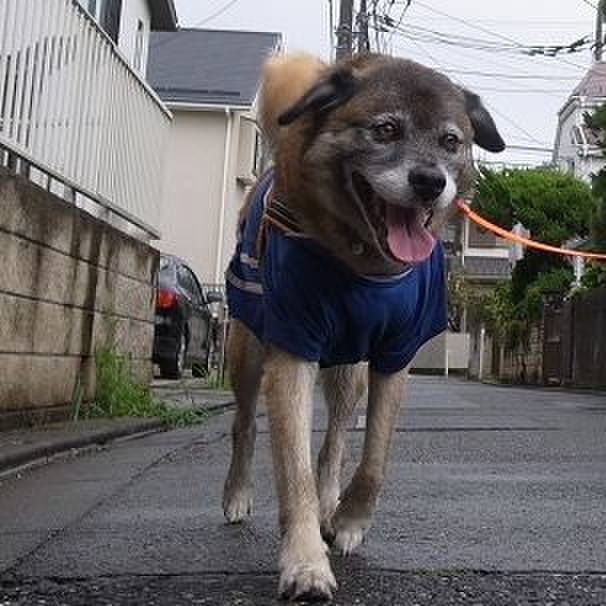 Aa36f9b5 c926 452a ad81 0c34c3dbb91d