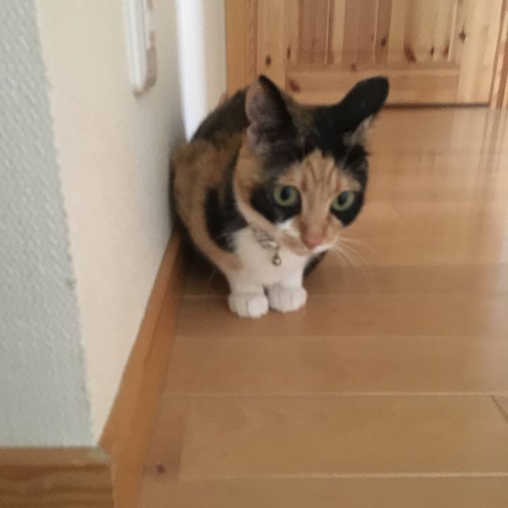 Aa37268c 2972 4f42 9d79 9f6eff6514a4