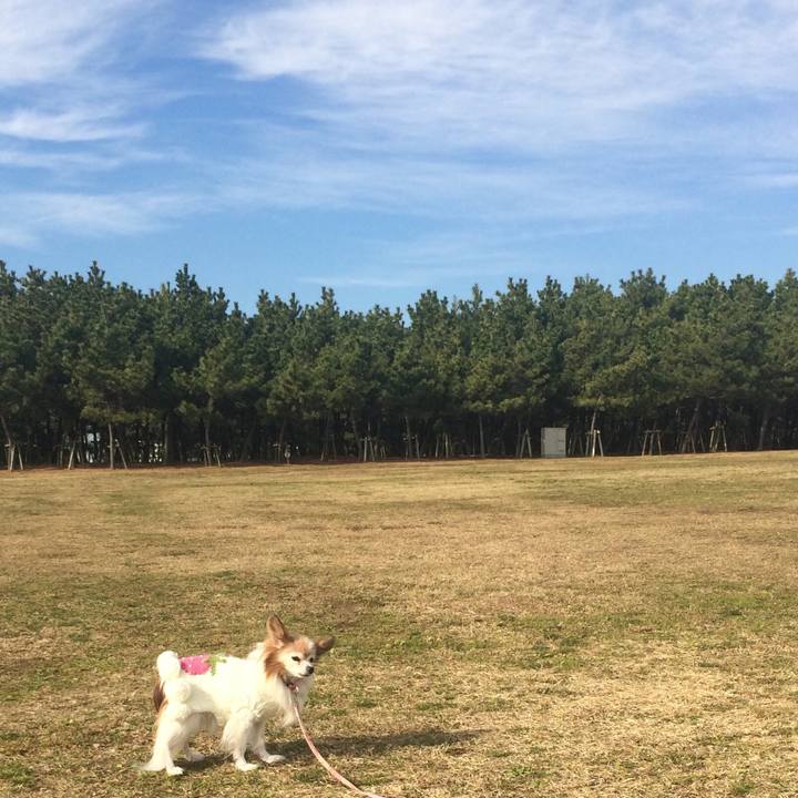 Aa373b66 487e 473e 9199 97d4d7afd66f