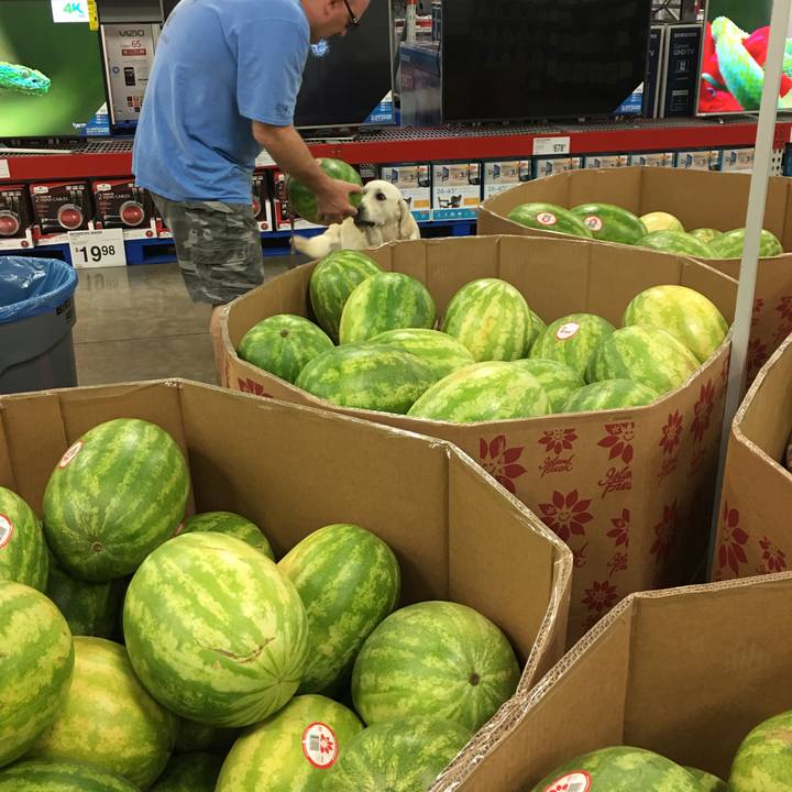 Aa37b574 25a9 4a97 92bd b34175e7a47f