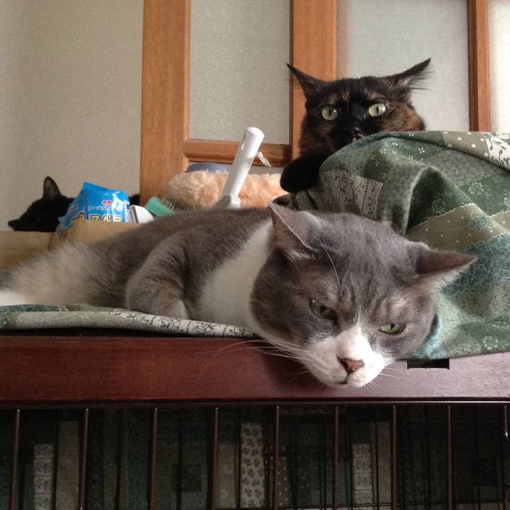 Aa37bf05 b95d 4238 91e1 6ac44375ef2d