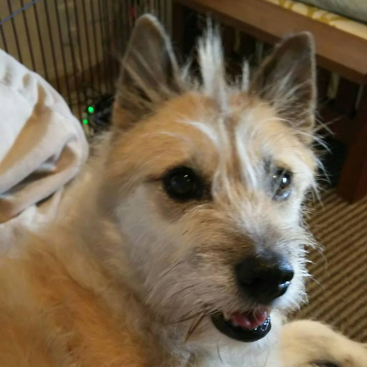 Aa3807d5 8815 4a62 8c4b 816b24a7f0dd