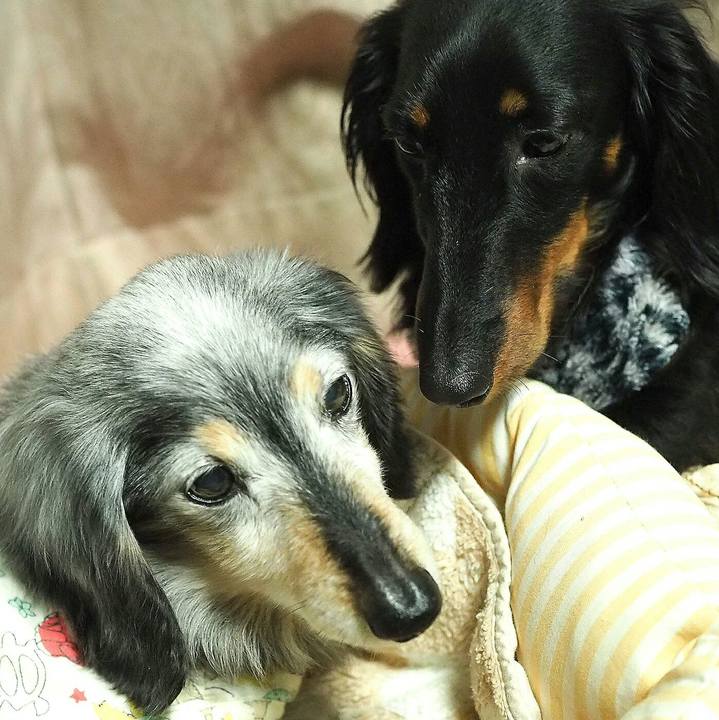 Aa380d5a c2c5 494b b401 0db162ed1a00