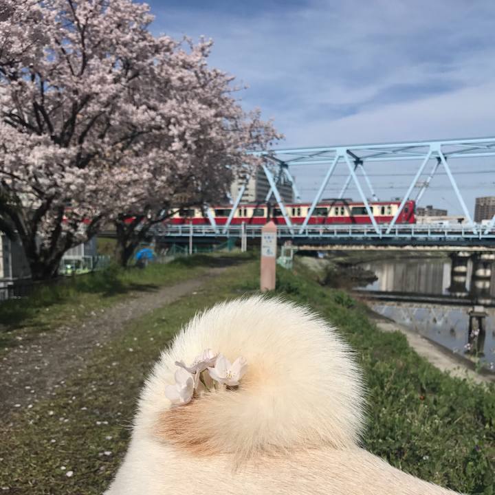 Aa3828bb 7456 478f bdf4 0d0637c351ec