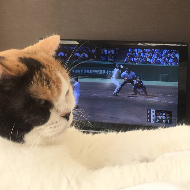 Aa38c5cb 45cc 4b60 860f 10b6c98b67fa