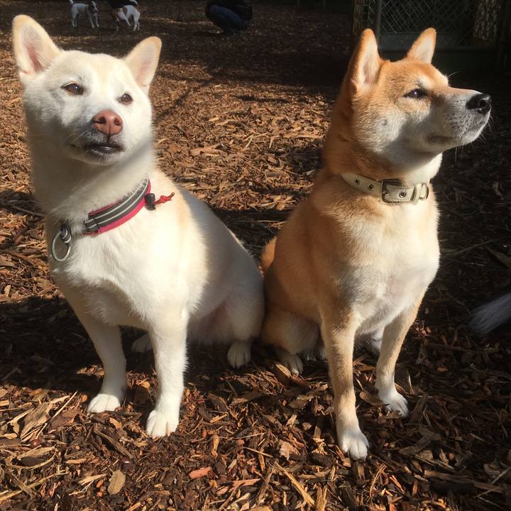 Aa38cb9f b25c 4bdd ad8d 33b9433215b0