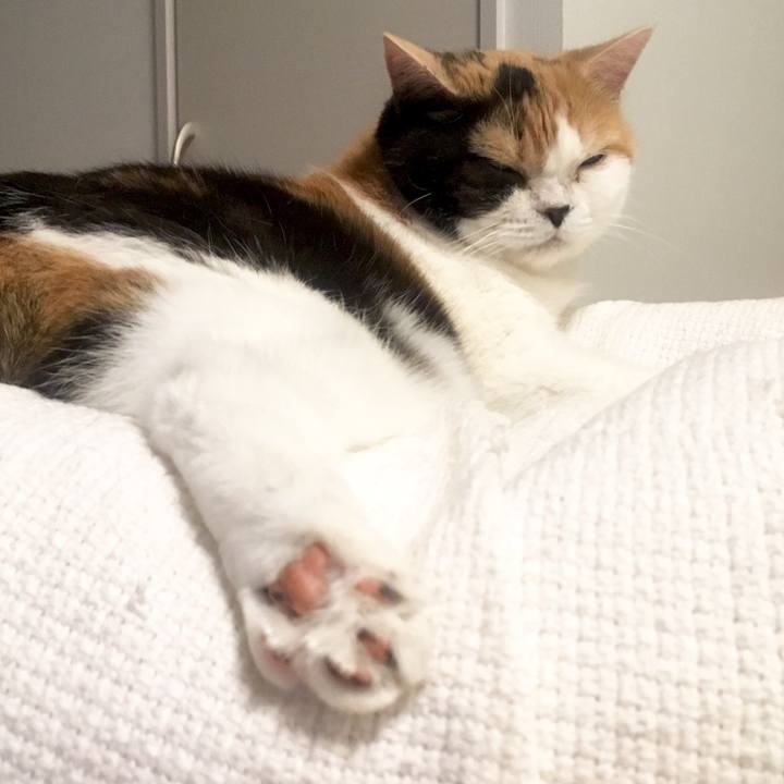 Aa38fc16 481b 475b b838 58937d3d0a7c