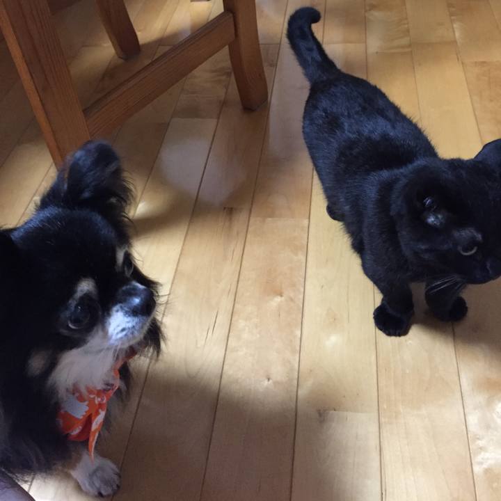 Aa3908d6 371a 4215 b77c 627f0567a4c1