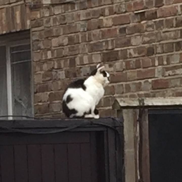 Aa39124d 53ea 42d0 a09d 867229df4f9a