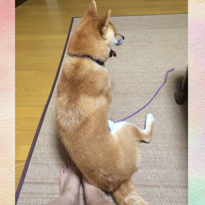 Aa398c73 0f98 4ce7 a3c7 8cf9fb6750db