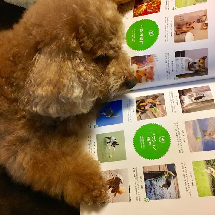 Aa39e28c b7d4 4b18 b662 9dc25c2b1491