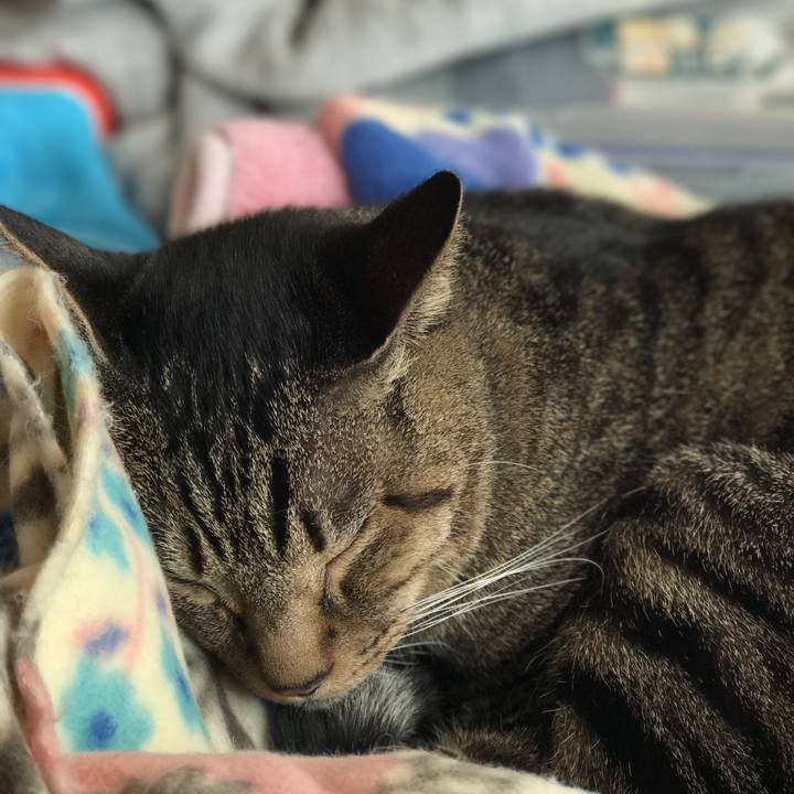 Aa39e5b8 73df 48fe affd 17101478f7d9