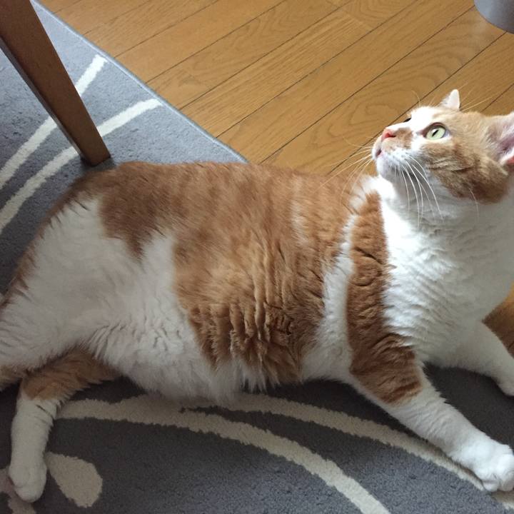 Aa3a1e9a 01ad 4c68 a03f 89ab6873c153