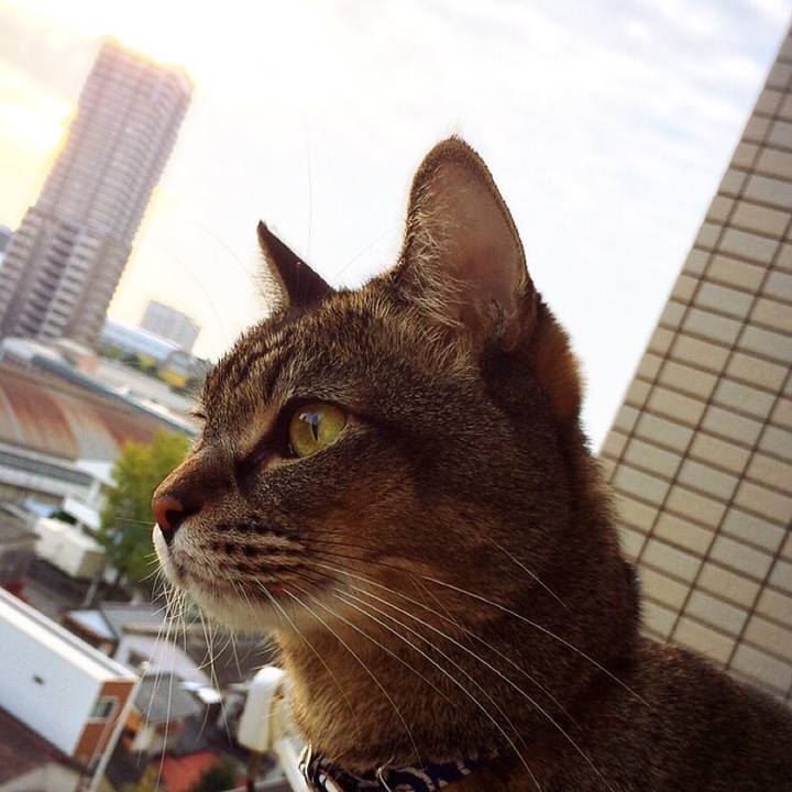 Aa3a3c9f df75 4908 9259 edd3bfbcfef4