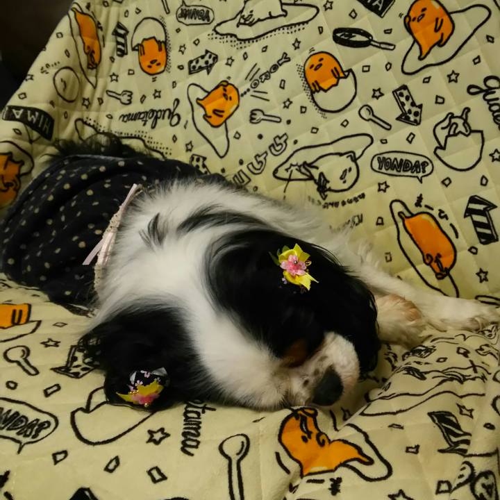 Aa3aaddc bacb 4a8e 972b 57544a49d2e5