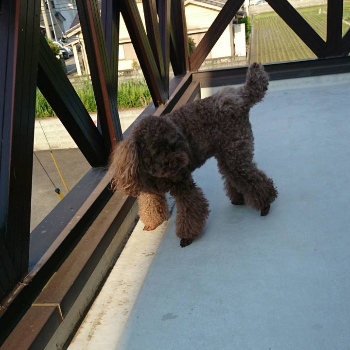 Aa3acf74 946d 4168 8dca 85d6aad64cec