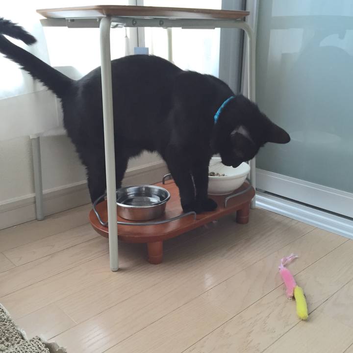 Aa3b786b 3d95 4145 b487 01fe71fe90b8