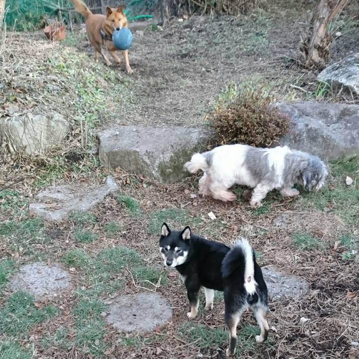 Aa3bb22e 62a5 4d0c b4e1 b2320ca0dd1b