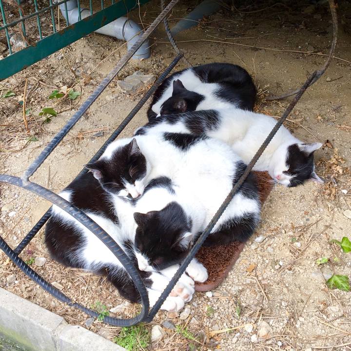 Aa3be45f a1da 435e 997c 5a53144e622e