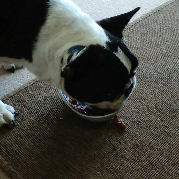 Aa3c5739 1c8e 482d 95a5 7a53f67cbc8b