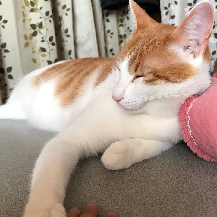 Aa3ccdcf 9e72 4bbd a783 ea65645cd62f