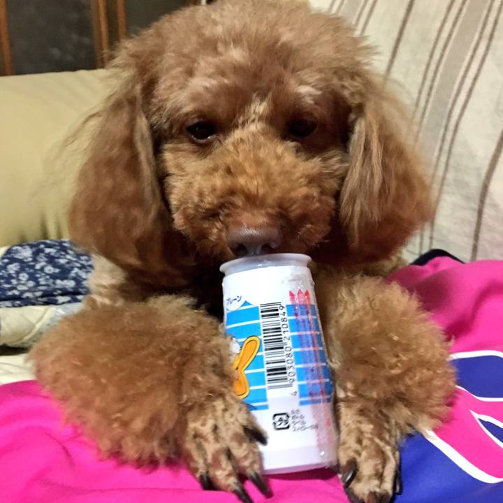 Aa3d1514 8580 4c62 bb00 5a009823a357