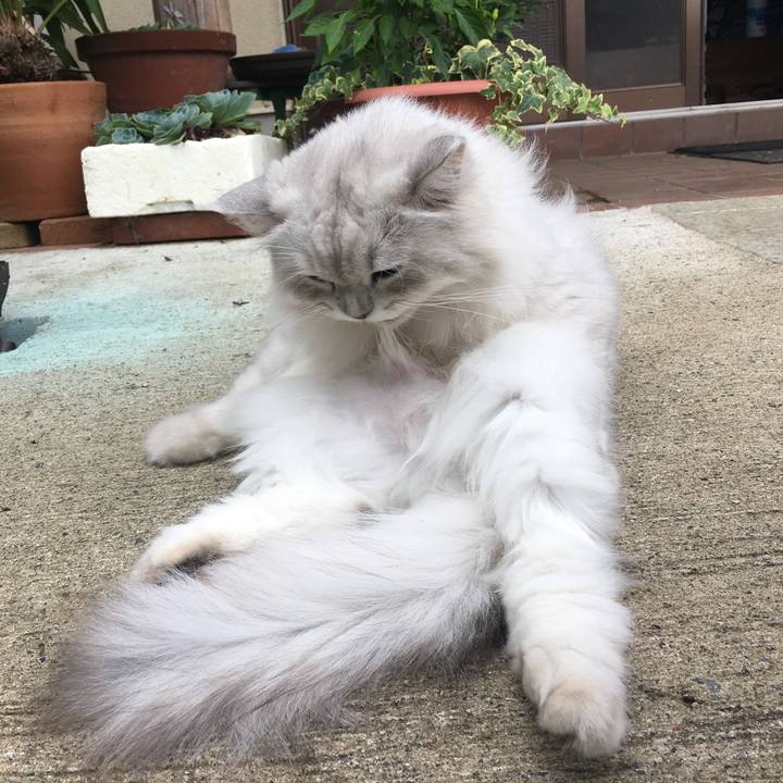 Aa3d4c0b 60eb 48ca 9ca6 b4c140c1b2a7