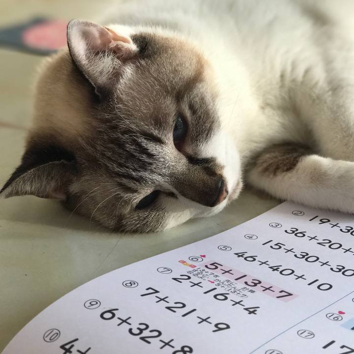 Aa3e29c1 efde 42fd bc33 e5248659ee69