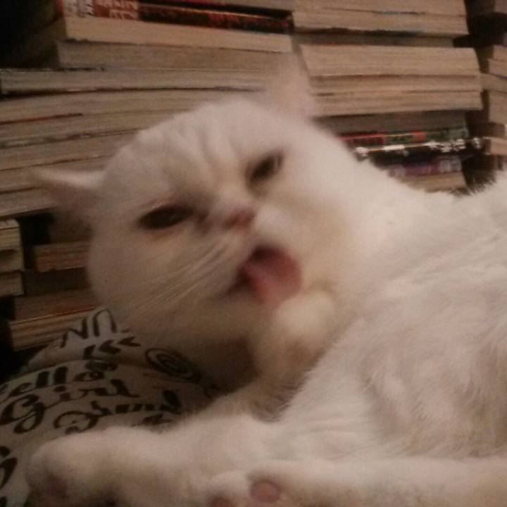 Aa3e6d04 ee76 4bca 928d a968cc1c5429