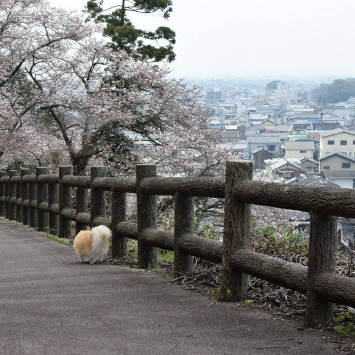 Aa3eb858 fbef 43f3 811f c0ca125fbbc3