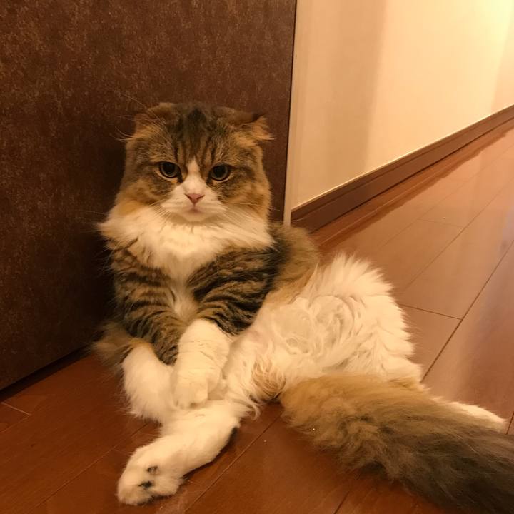 Aa3f1be5 de99 48b4 960c 26895f28a49b