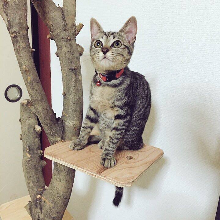 Aa3f1c16 52ae 4064 ade2 82615804079e