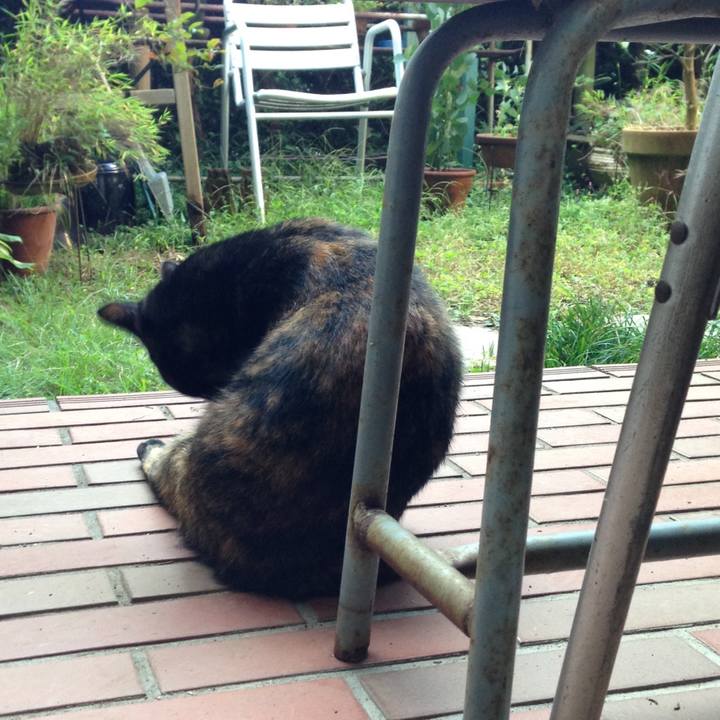 Aa405628 f3e5 4e2c 90c7 c9f805faf612