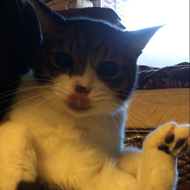 Aa41a7e5 daf1 4719 b9d5 8117bd045522