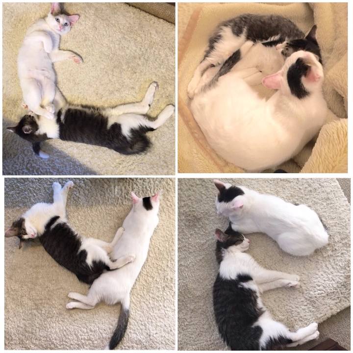 Aa4229dd 7f74 487f 97ee 3af8d5b722db