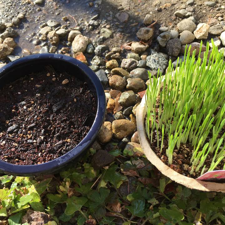 Aa425593 3f67 43d3 97da 6b31324cf1ac