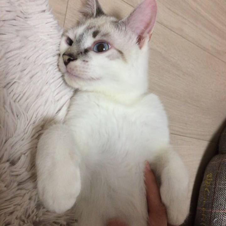 Aa42bc4c d587 4ba3 90a7 711d0f005b01