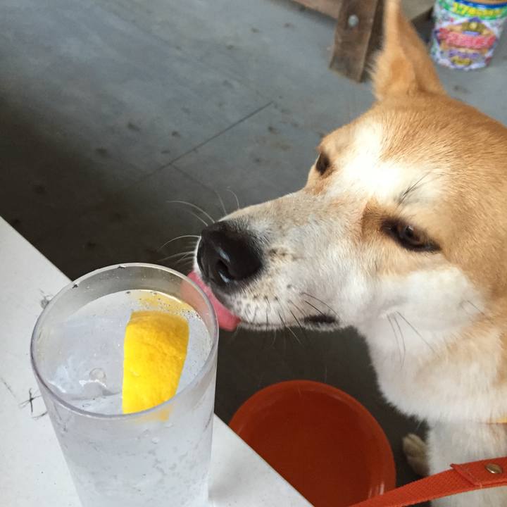 Aa433621 71fc 4420 87de c08ab6ed4cf4