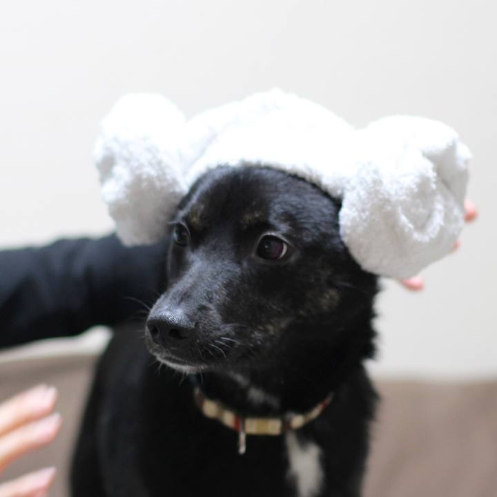 Aa43a9e5 dc51 4069 87aa 96ad17f7b3cf