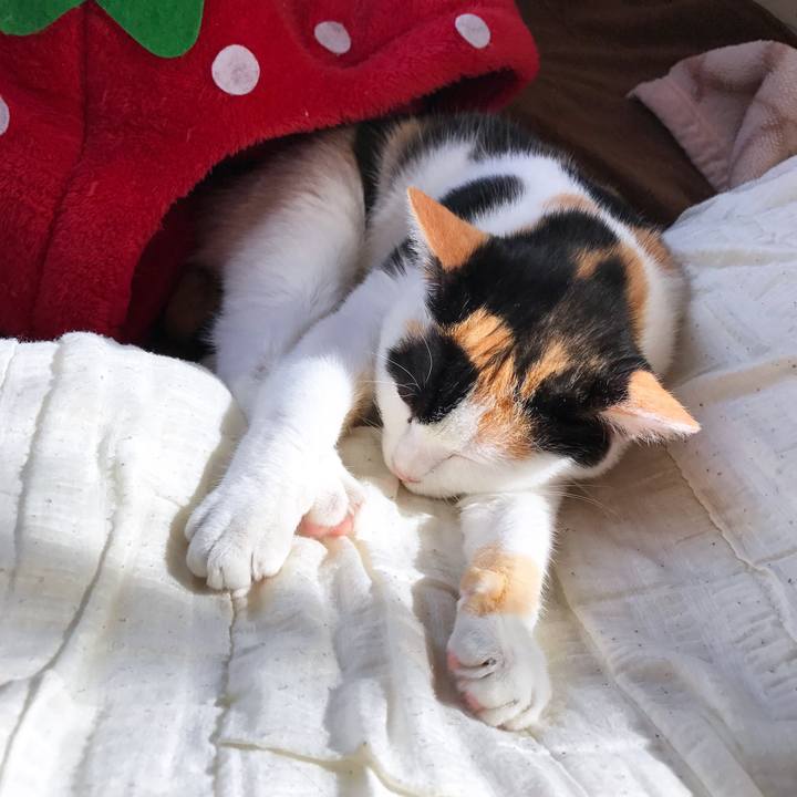 Aa443a5c 67e4 4c05 b1c5 6682003b8f30