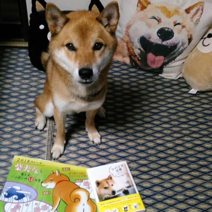 Aa452148 82c2 4a76 a32f f678fe19b2d4