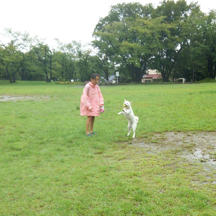 Aa454293 cd65 47a5 b8e2 12194de26fb8