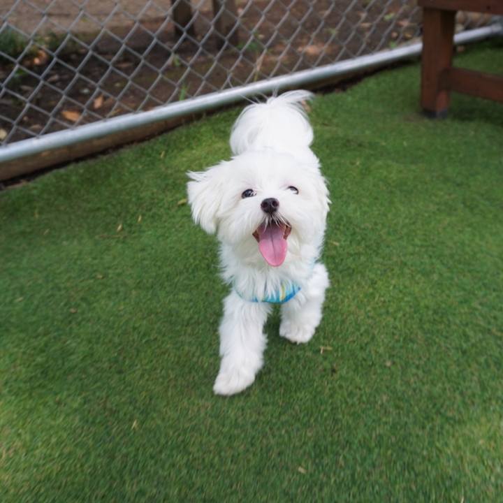 Aa45794e c3cf 45c8 a830 549aa74bf56b