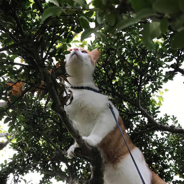 Aa45975a 3889 4109 a242 17822f1ff33e