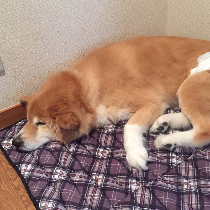 Aa45bd34 3b4c 49d6 8722 ea978f9e0287