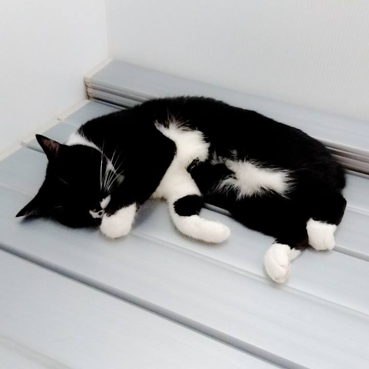 Aa45c9d8 d60b 41f6 8f6a 0986eb3ccb29