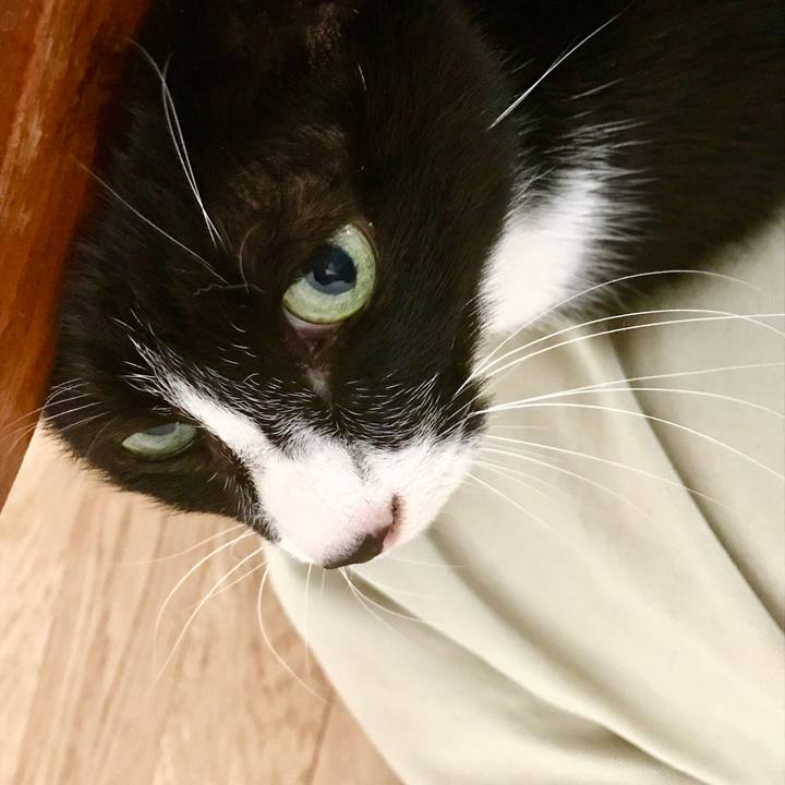 Aa4688b4 8bf8 4aef 817e 21a334cf0966