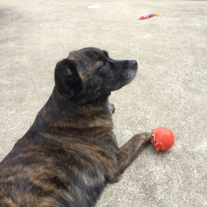 Aa46a68b 7c07 454c aca3 7d73577a5bfa