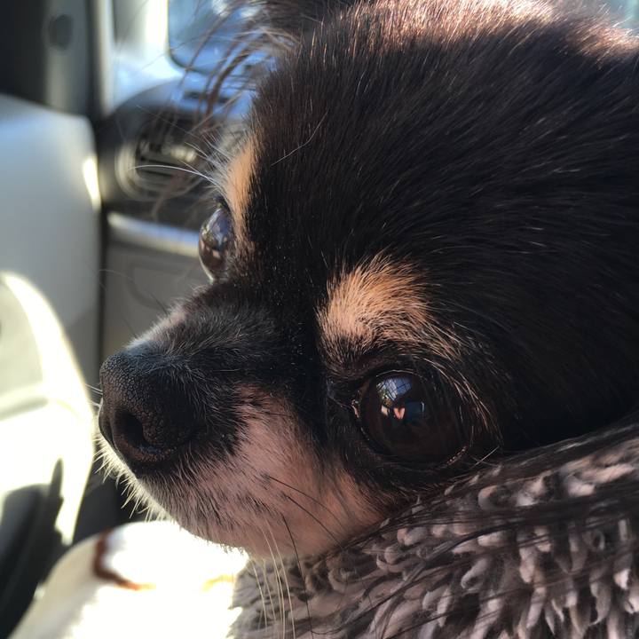 Aa46e838 3c2b 43c7 a919 24f94b3f1048